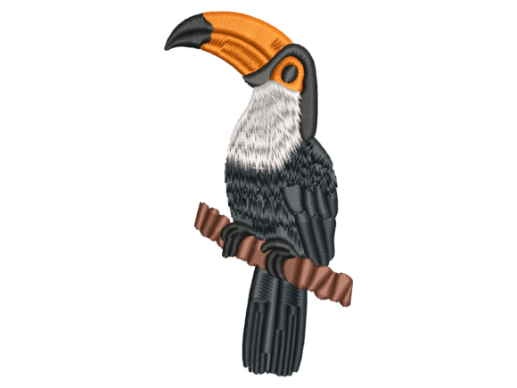 Exotic Toucan Bird Embroidery Review